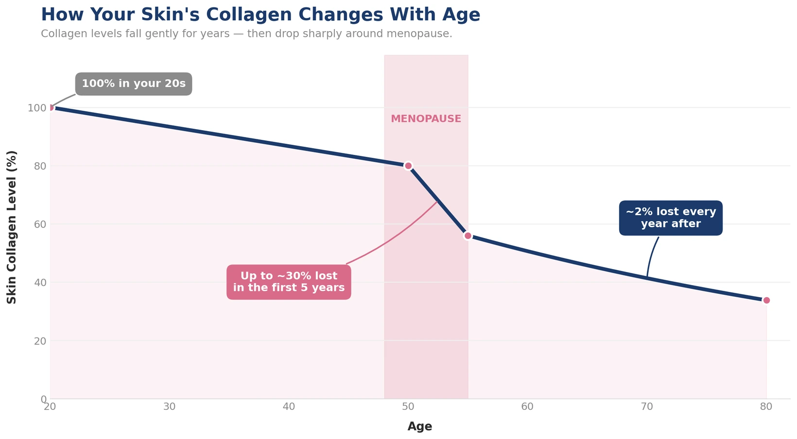 Collagen loss around menopause over time